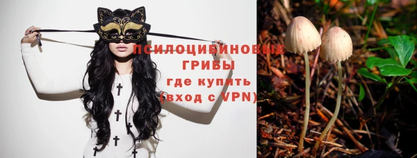 амф Каменка