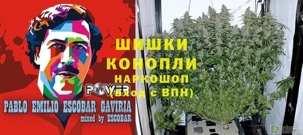 СК Абинск