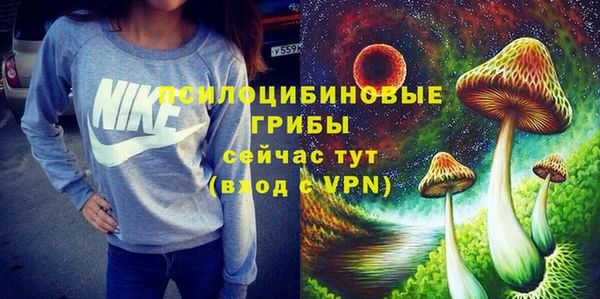 СК Абинск
