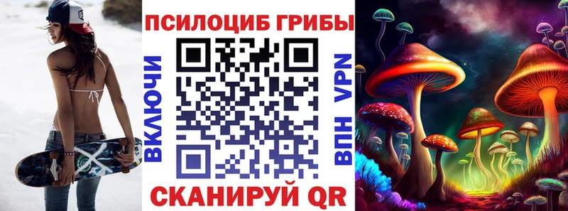 сайты даркнета телеграм  Зеленогорск  Галлюциногенные грибы MAGIC MUSHROOMS 